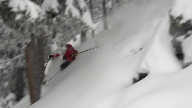Ski freeride grosse poudreuse