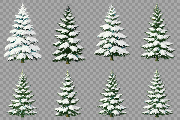 Collection of vector realistic snowy fir trees for winter holiday designs and seasonal graphics