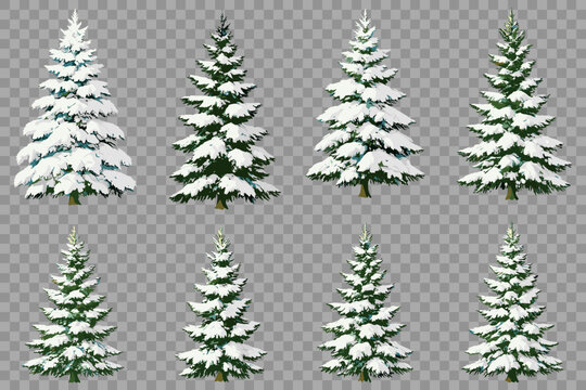 Collection of vector realistic snowy fir trees for winter holiday designs and seasonal graphics