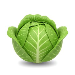 Obraz premium 3D stylized whole cabbage green