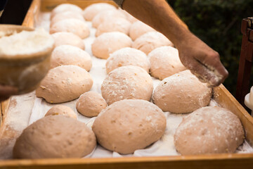 Yeast dough in the form of loaves waiting to be cooked