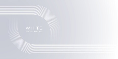 White Abstract background, line dynamic wave, vector illustration.