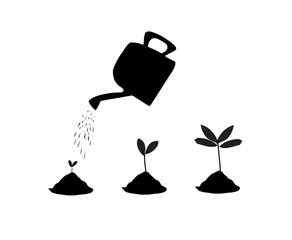 young plant growing on the ground ,soil gardening 