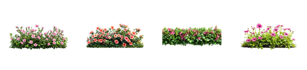 Obraz premium Floral border set, vibrant blossom collection, landscaping element, cut out transparent