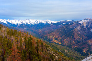 Panoramic View Of Sequoia National Park With Snow-Capped Mountains