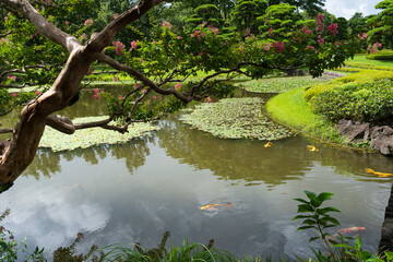 Traditional Japanese Garden and Koi Pond in Tokyo, Japan