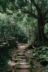 Ancient stone path through lush forest with towering trees and moss-covered rocks