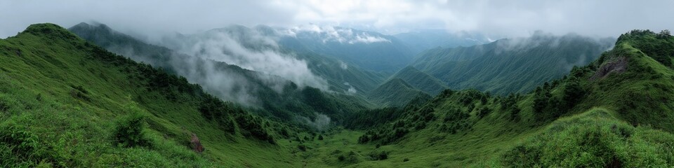 Obraz premium Lush green mountain valley with mist and rolling hills