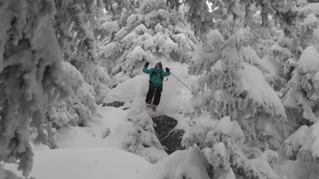 Ski Freeride en for&ecirc;t poudreuse