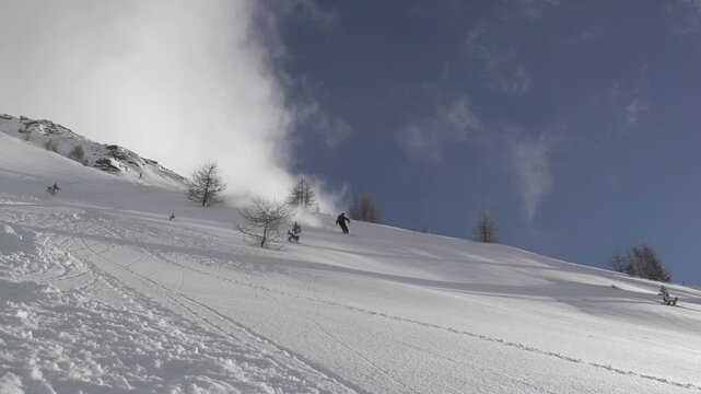 Virage skieur en poudreuse profonde