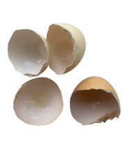 Cracked Eggshells – Fragility, Organic Food Waste, Kitchen Photography, Natural Texture, Composting