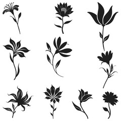 set of black and white flowers