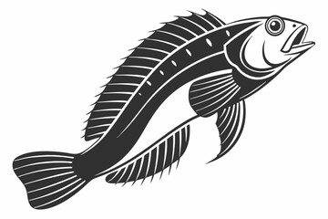 blenny sihouette black vector