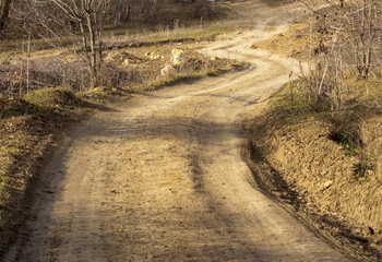 autumn sunny day, nature park, walking along a dirt road with an overview of the area