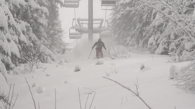 Ski freeride en foret poudreuse