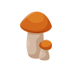 Two edible mushrooms of different sizes on a white background. Forest food. White mushroom, birch bolete. Isolated vector illustration.