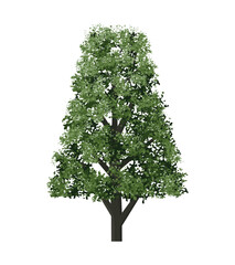 Fototapeta premium Big tree isolated on white background. Landscape object for outdoor graphic, architecture drawing, elements for environment and gardening. Vector illustration.