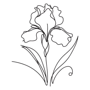 recommend clip art: Beautiful Iris Flower Single Line Art Drawing Vector Graphic