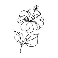 Tropical Hibiscus Flower Line Art Drawing Illustration Vector Graphic