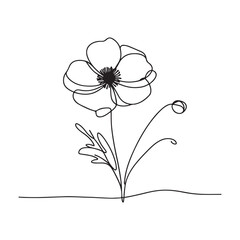 Elegant Single Line Drawing of Poppy Flower Minimalist Design