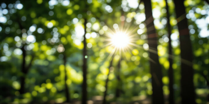 Forest Light Abstraction Filtered sunlight through dense canopy creating abstract bokeh constellation in vibrant green palette without recognizable trees. Intentional
