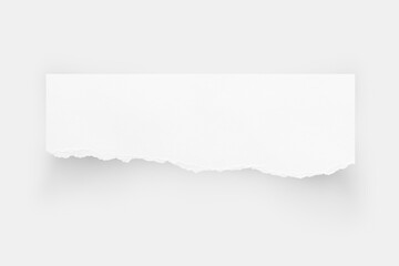 Torn paper edges. Ripped paper texture. Paper tag. White paper sheet for background with clipping path. Close up image.