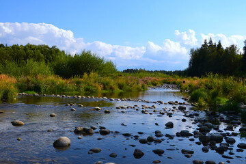 Nature reserve of the Bialka River Gorge, Podhale, Poland.  Białka mountain river running through southern Poland, a tributary of the Dunajec River