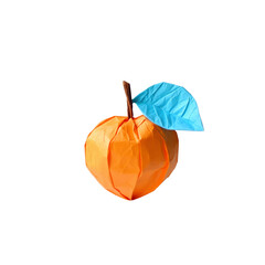 Origami Orange with Blue Leaf - Creative Paper Art