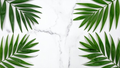 Fototapeta premium Decorative green palm leaves arrangement on marble background nature aesthetic still life photography calm environment top view natural beauty
