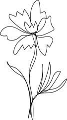 Elegant Single Line Drawing of a Flower with Delicate Leaves