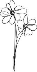 Simple Line Drawing of Two Daisies on a Single Stem Minimalist Botanical Illustration