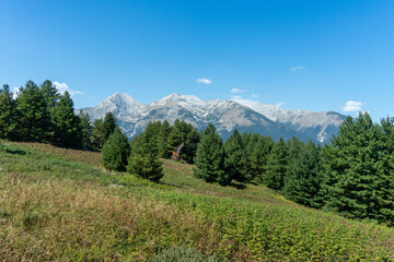 Fototapeta premium Aramiyska Meadow and distant peaks Vihren, Kutelo, Carna Mogila on a sunny summer day.