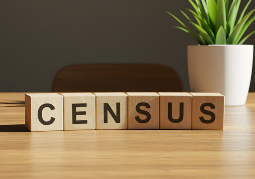 Census data collection and analysis concept using wooden blocks and potted plant on desk background