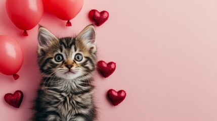 A pink background serves as the setting for a cat sitting with two red balloons
