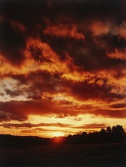 Fototapeta premium Fiery sunset over rural landscape with silhouette of trees and dramatic clouds golden hour scenic view