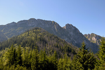 Beautiful view from the Sarnia Skala (eng: Deer Peak) peak with a height of 1,378 m. Tatra National Park. Zakopane, Poland. View of Giewont