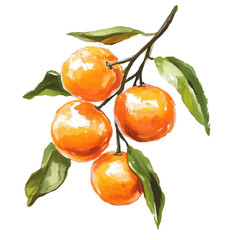 Ripe oranges on a branch with green leaves a watercolor painting