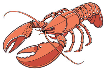 137 cooked lobster, detailed lobster close up, realistic lobster, high resolution, photorealistic, studio lighting, white background