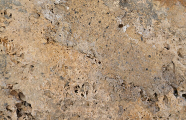 Porous weathered limestone rock texture with natural cavities and earthy tones, ideal for geological backgrounds and material studies