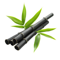 Black bamboo stalks and green leaves on a colorful striped background