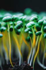 Cyber sprouts flourish in a virtual world where the weather is always perfect, thanks to advanced simulation techniques