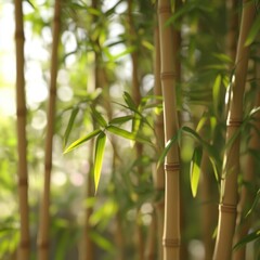 Obraz premium Serene Bamboo Grove Close Up Featuring Lush Green Leaves and Golden Stalks in Soft Natural Light in a Peaceful Forest