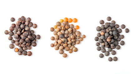 Different types of lentils isolated on white