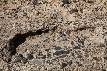 Agglomerate rock with volcanic basalt bombs in Fuerteventura