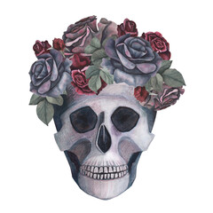 Scull with roses wreath gothic magical texture isolated on white background. Watercolor hand drawn day of the dead sketch illustration. Art for design mystical halloween witch decoration, scary card