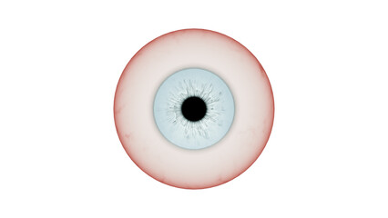 blue eye isolated on white