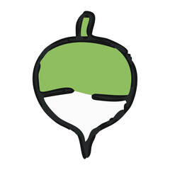 Turnip Illustration - Root Vegetable Vector Design