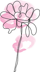 Elegant Pink Watercolor Flower with Single Line Drawing Art