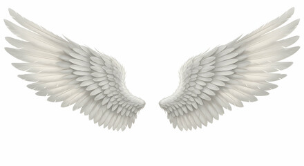 Obraz premium Realistic white angel wings spread out