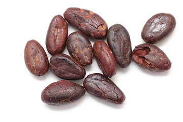 Brown cocoa beans on white 